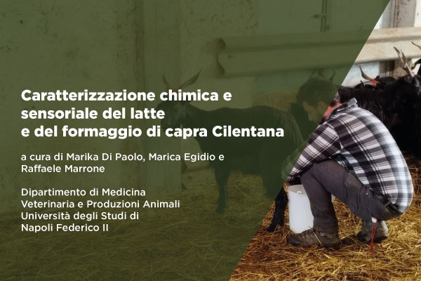 Caratterizzazione chimica e sensoriale del latte e del formaggio di capra Cilentana