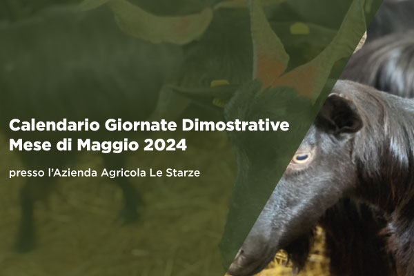 Calendario giornate dimostrative